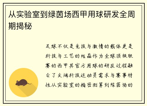 从实验室到绿茵场西甲用球研发全周期揭秘