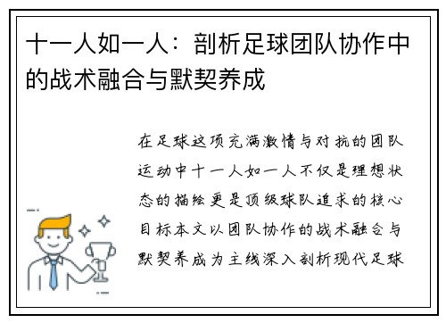 十一人如一人：剖析足球团队协作中的战术融合与默契养成
